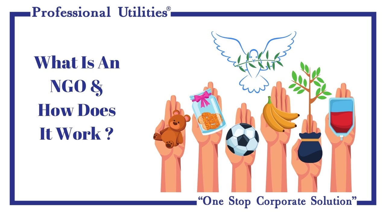 what is an ngo & how does it work-min